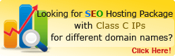 Looking for SEO Hosting Package with Class C IPs for different domain names? Click Here!